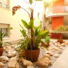 Alquiler anual apartamento moderno con parking en centro de Roses, Costa Brava
