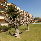 For sale 2 bedroom apartment and parking 100m from the beach in Empuriabrava, Costa Brava