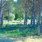 For sale constructible plot of land in Les Garrigues, Roses