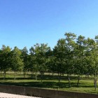 Appartamento in affitto annuale con parcheggio privato a Roses, Costa Brava