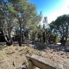 Casa con ampio terreno e vista frontale sul mare ad Almadrava, Roses