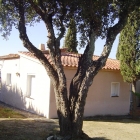 Erdgeschoss Haus in Mas Fumats, Roses