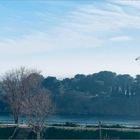 In vendita appartamento con 1 camera, terrazza e parcheggio di fronte al mare Empuriabrava