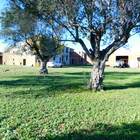 A vendre maison rustique avec grand terrain située près de Figueres, Costa Brava