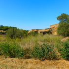 For sale rustic house with large land located in Pals, Costa Brava