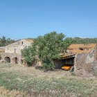 Maison de campagne avec 2 hectares de terrain à Peralada, Costa Brava