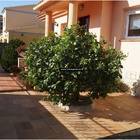 Magnificent detached house very sunny and a few meters from the center of Roses