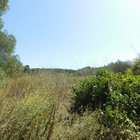 Zu verkaufen Landhaus mit großem Grundstück in Pals, Costa Brava