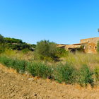 For sale rustic house with large land located in Pals, Costa Brava