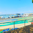 Haus vor dem Hafen zu verkaufen - einzigartige Immobilie in Roses, Costa Brava