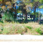 For sale constructible plot of land in Les Garrigues, Roses