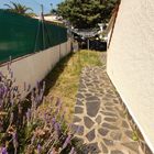 House on ground floor, renovated and with garage in Roses Costa Brava