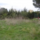 Constructible plot in Mas Boscà, Roses