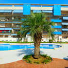 En venta moderno apartamento 2 habitaciones y piscina Santa Margarita, Roses 