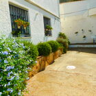 Affitto a lungo termine: appartamento con 2 camere da letto e parcheggio a Roses, Costa Brava